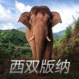 赵心童夺冠墨菲不满！被中国禁赛参赛资格成疑，官方改规则太随意